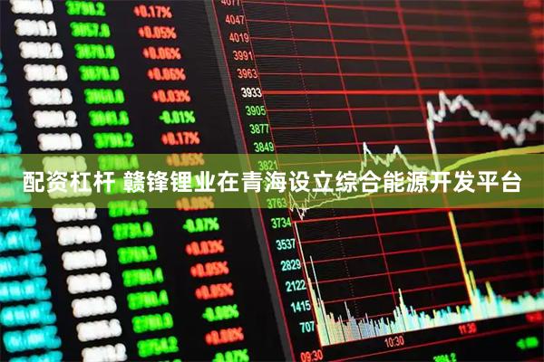 配资杠杆 赣锋锂业在青海设立综合能源开发平台